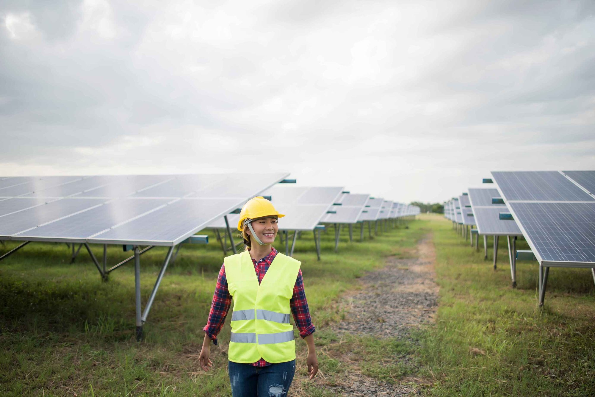 Solar government contractor