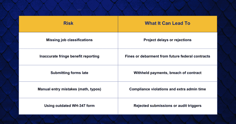 Payroll Compliance Risk Graphic (2)